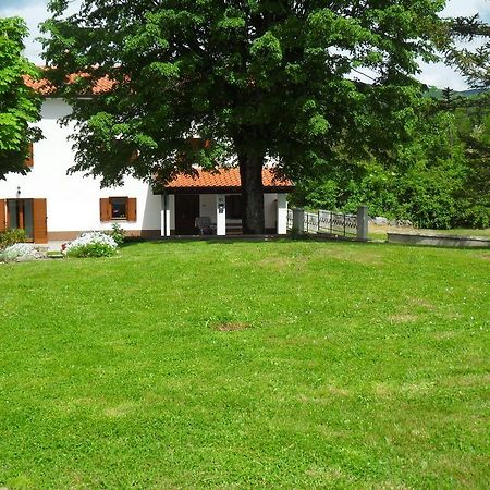 Apartmani Bartulasi Roč 部屋 写真